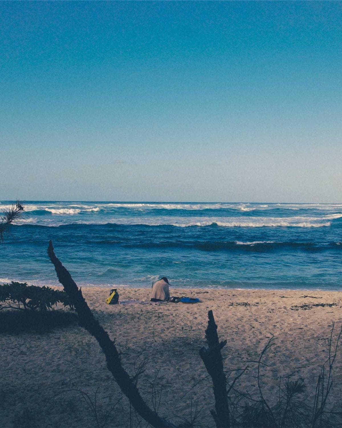 NEXJARVIS — 12
